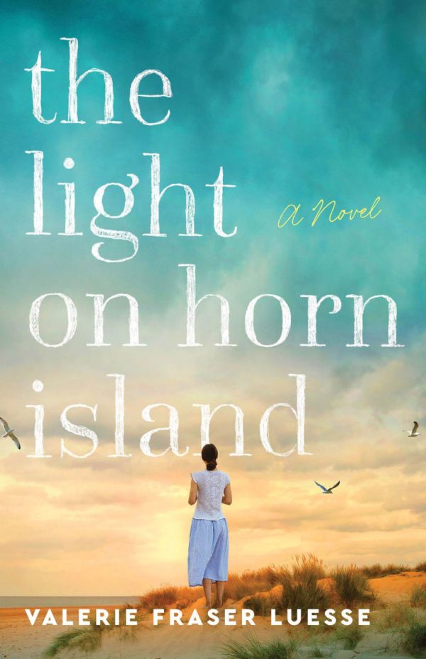 Book cover image for The Light on Horn Island